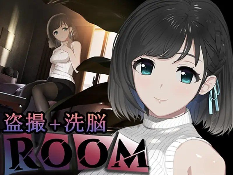 ROOM ROOM攻略大全多结局流程推进思路 封面图